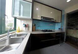 Butterworth View (D15), Apartment #423163811